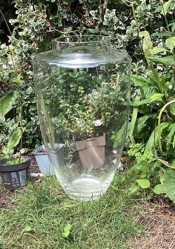 Hoge glazen vaas, helder glas beschikbaar voor biedingen