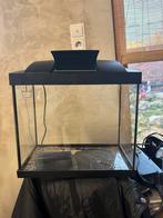 Aquarium Superfish 30L, Dieren en Toebehoren, Vissen | Aquaria en Toebehoren, Ophalen of Verzenden