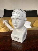 Frenologie studie hoofd, fowler phrenology, Ophalen of Verzenden, Nieuw, Mens