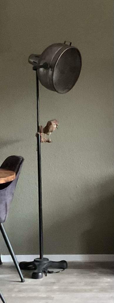 Industriële Stadionlamp Vloerlamp, Huis en Inrichting, Lampen | Vloerlampen, Gebruikt, 150 tot 200 cm, Metaal, Ophalen of Verzenden