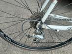 28 inch Focus Variado met 27 versnellingen., 28 inch, Gebruikt, -, Heren
