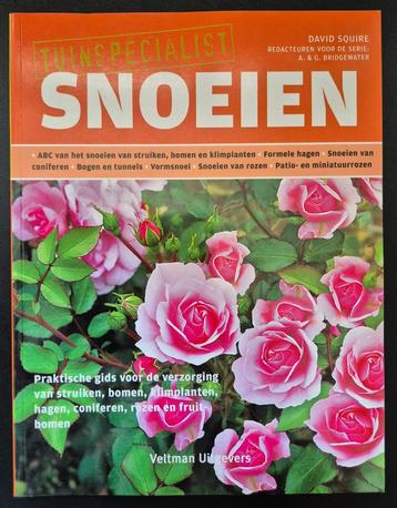 Snoeien / Tuinspecialist - David Squire beschikbaar voor biedingen