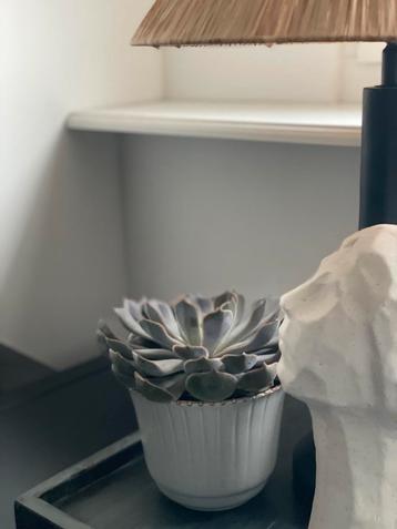 Vintage Fris Edam Cleopatra Bloempot beschikbaar voor biedingen