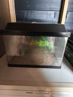 2 aquariums te koop, Dieren en Toebehoren, Vissen | Aquaria en Toebehoren, Ophalen, Gebruikt, Leeg aquarium