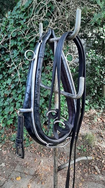 🔴 GOED GAREEL 58 X 22 CM MET STRENGEN  KWPN PAARD 95 €  🔴  beschikbaar voor biedingen