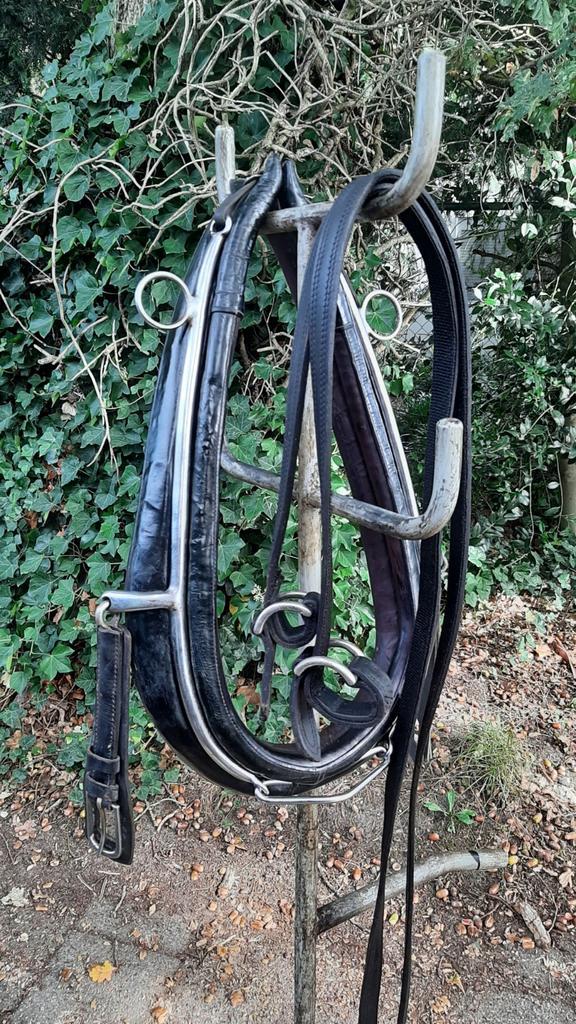 🔴 GOED GAREEL 58 X 22 CM MET STRENGEN  KWPN PAARD 95 €  🔴, Dieren en Toebehoren, Paarden en Pony's | Hoofdstellen en Tuigage