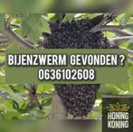 Gratis bijenzwerm ophalen omgeving Asten, Dieren en Toebehoren, Overige Dieren, Mannelijk