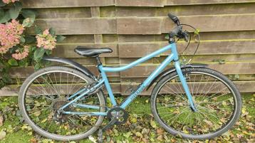 Riverside herenfiets  beschikbaar voor biedingen