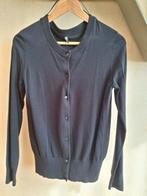 nieuw Hema vest, zwart, mt S, Zwart, Nieuw, Ophalen of Verzenden, Maat 36 (S)