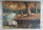 Schilderij  # Herfstbos, Ophalen