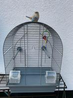 Grijze vogelkooi, Ophalen, Zo goed als nieuw, Metaal, Vogelkooi