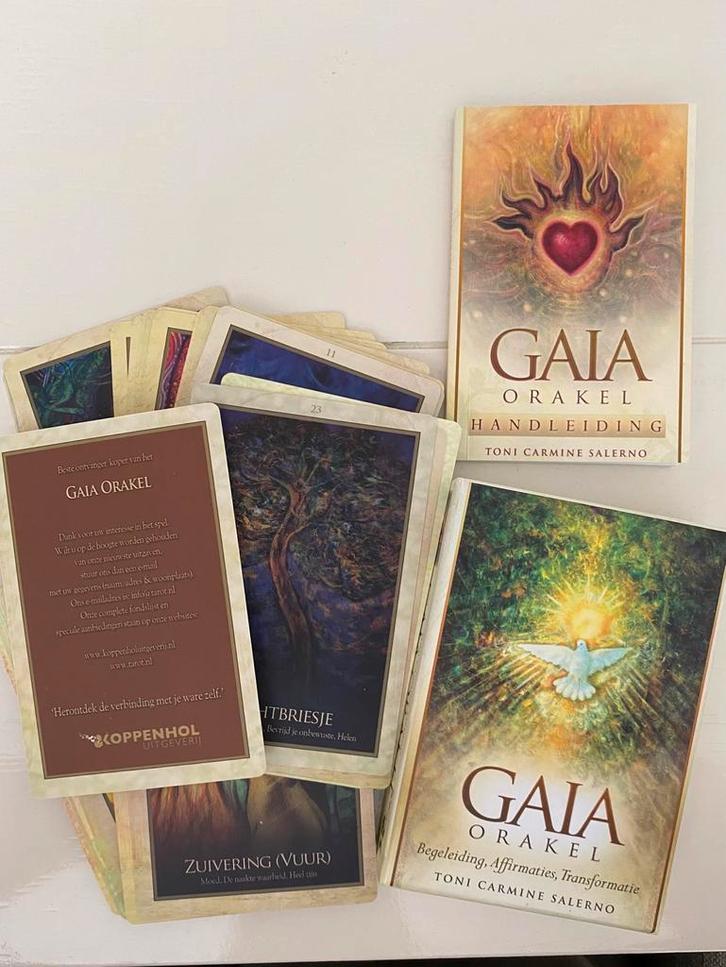 Toni Carmine Salerno - Handleiding, Boeken, Esoterie en Spiritualiteit, Zo goed als nieuw, Overige typen, Tarot of Kaarten leggen