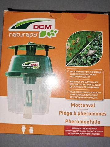 Buxus Mottenval 3 stuks beschikbaar voor biedingen