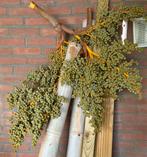 Decoratieve verse palmtakken 2 stuks L80xB70 cm, Huis en Inrichting, Ophalen of Verzenden, Nieuw