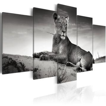 818 Leeuw Grijs 5 Luik Canvas Schilderij 200x100cm Nieuw beschikbaar voor biedingen