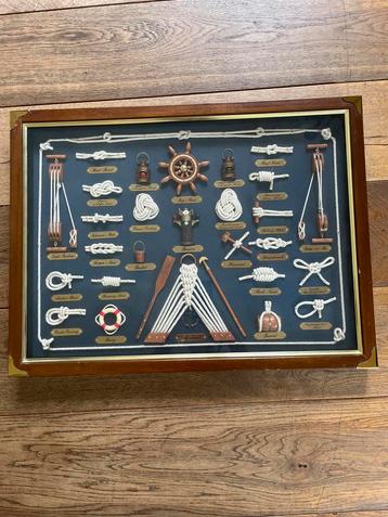 Maritieme Knopen Display in Lijst beschikbaar voor biedingen