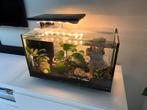 Superfish aquarium 40 liter met toebehoren., Ophalen, Zo goed als nieuw