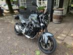 BMW F 900 R 96PK (bj 2022), Motoren, Motoren | BMW, Bedrijf, Info@advandermeer.nl, Meer dan 35 kW, Overig