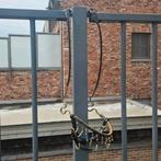 Showhalster / showhoofstel arabier, Dieren en Toebehoren, Ophalen of Verzenden, Nieuw, Overige soorten