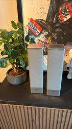Loewe zilvere grote speakers, Audio, Tv en Foto, Luidsprekers, Overige merken, Gebruikt, Ophalen of Verzenden, 60 tot 120 watt