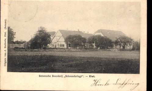 Elst (Gld.), Betuwsche Boerderij Schoonderlogt, gelopen 1903, Verzamelen, Ansichtkaarten | Nederland, Gelopen, Gelderland, Voor 1920