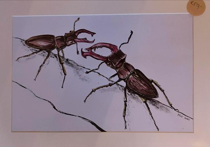 Vliegend Hert Kunstwerk - A4 Formaat, Antiek en Kunst, Kunst | Tekeningen en Foto's, Ophalen of Verzenden