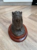 douglas grey brons yorkshire terrier hond., Antiek en Kunst, Ophalen of Verzenden, Brons