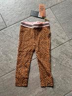 Nieuwe legging van Z8 maat 92, Broek, Meisje, Z8, Nieuw