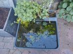 Mini vijver van velda, Tuin en Terras, Ophalen
