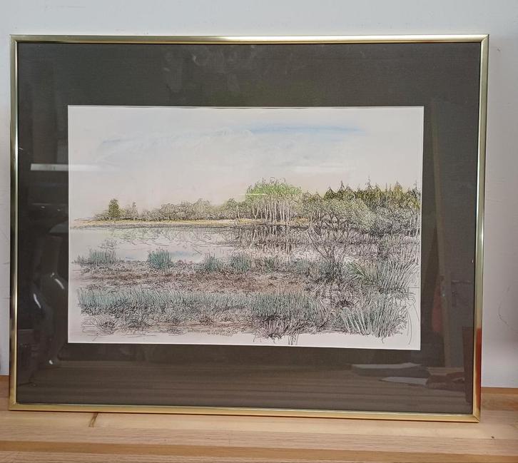 Arie Goedhart Prent - Boerest Veense Plassen, Antiek en Kunst, Kunst | Tekeningen en Foto's, Ophalen of Verzenden