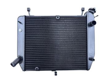 RADIATEUR YZF R1 2000-2001 (YZF-R1 5JJ) (5JJ124610000) beschikbaar voor biedingen