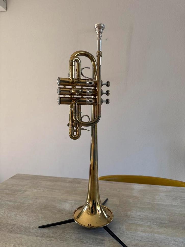 Mooie Bel Canto Es Trompet, Muziek en Instrumenten, Blaasinstrumenten | Trompetten, Gebruikt, Es-trompet, Ophalen of Verzenden