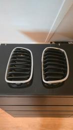 Originele BMW F20 Nieren (Grille), Gebruikt, Voor, Ophalen of Verzenden, Bumper