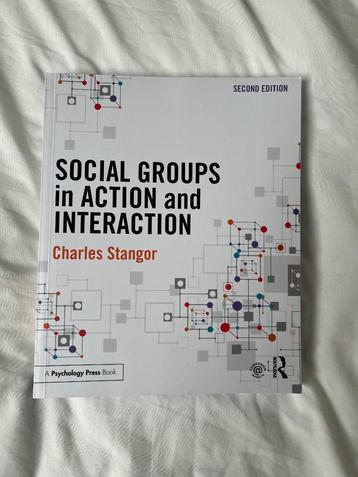 Social groups in action and interaction  beschikbaar voor biedingen