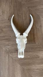 Decoratieve Schedel met Hoorns, Ophalen, Zo goed als nieuw