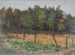Pieter de Regt (1877-1960) - Weiland aan bosrand moestuin, Antiek en Kunst, Ophalen of Verzenden