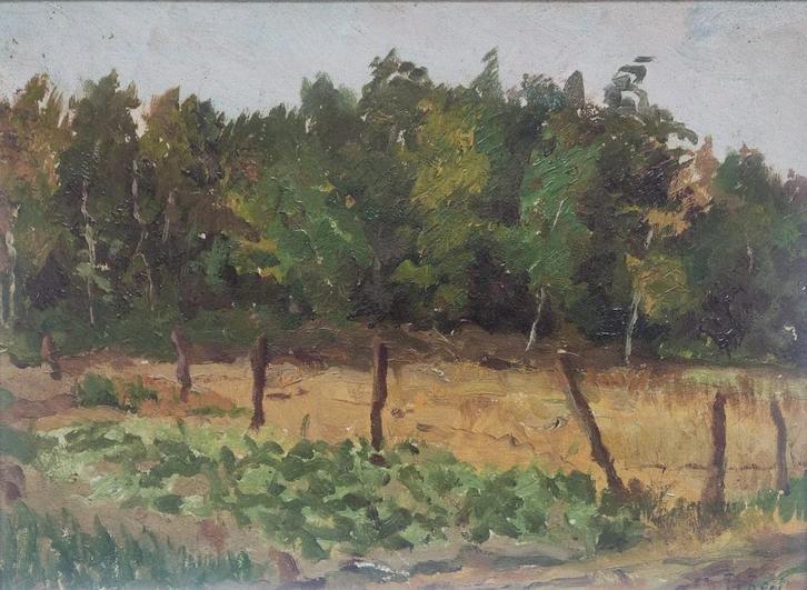 Pieter de Regt (1877-1960) - Weiland aan bosrand moestuin, Antiek en Kunst, Kunst | Schilderijen | Klassiek, Ophalen of Verzenden