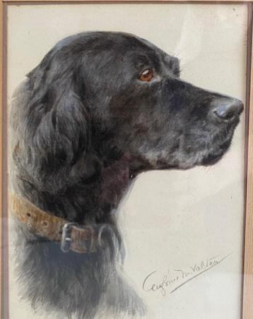 E.M. Valter (XIX-XX) - Portret van een zwarte labrador beschikbaar voor biedingen