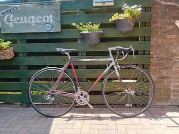 Vintage damesracefiets Batavus Criterium beschikbaar voor biedingen