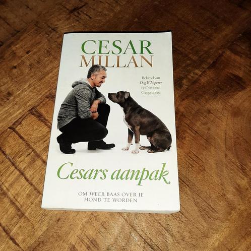 Cesar Millan - Cesars aanpak, Boeken, Dieren en Huisdieren, Zo goed als nieuw, Honden, Ophalen of Verzenden