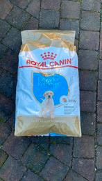 Puppy voer: royal canin puppy labrador retriever 12 kg, Ophalen, Hond