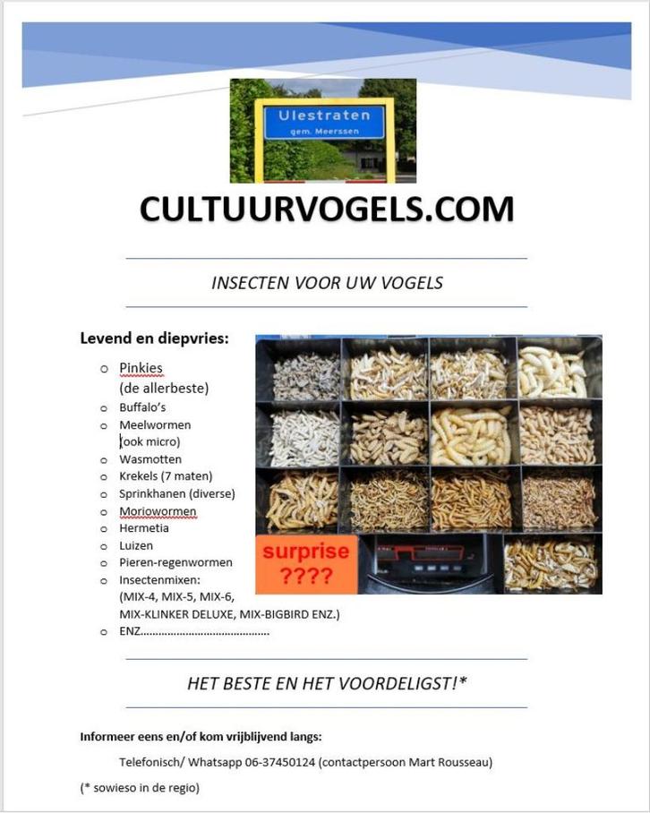 Insecten (pinkies, meelwormen enz.), Dieren en Toebehoren, Vogels | Overige Vogels, Geslacht onbekend