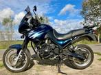 Mooie Triumph Tiger 900 met lage km stand, Motoren, Motoren | Triumph, Motorrijbewijs A, Sportuitlaat, Particulier, Meer dan 35 kW