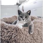 2x district70 FUZZ mand voor kat & hond en reistasjes, Dieren en Toebehoren, Kattenmanden, Ophalen of Verzenden, Nieuw