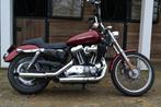 Harley-Davidson Sportster XL 1200C totaal gerestaureerd, 2 cilinders, Chopper, Bedrijf, Meer dan 35 kW