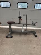 Panatta Plate loaded calf raise/ Seated calf machine