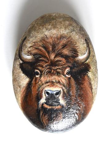 portret van een Bizon, geschilderd op een grote riviersteen beschikbaar voor biedingen