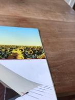 De Waard Albotros tent, Ophalen of Verzenden, Zo goed als nieuw