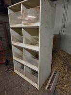 Cavia flat konijnen flat, Dieren en Toebehoren, Ophalen, 110 cm of meer, Zo goed als nieuw, 90 cm of meer