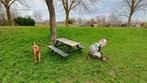Hondenopvang. Vakantie of dag opvang voor je hond, Diensten en Vakmensen, Dieren | Honden | Verzorging, Oppas en Les, Uitlaatservice